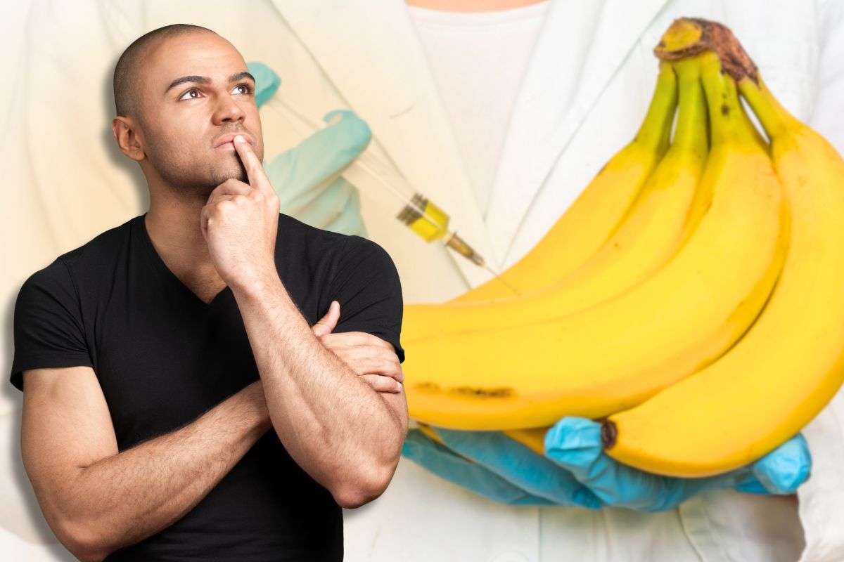 Banane OGM 