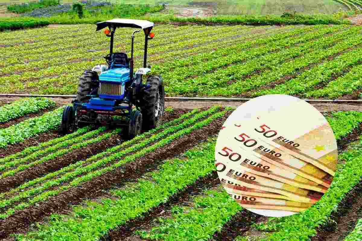 Come funzionano i contributi per l'agricoltura