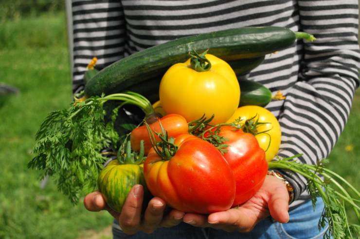 Risparmiare su frutta e verdura con un orto domestico