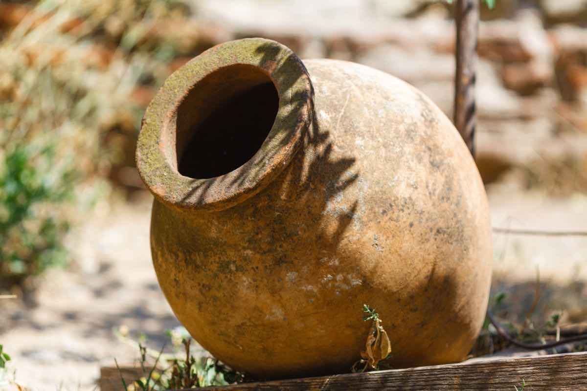 Il sapore del vino nell'antica Roma 