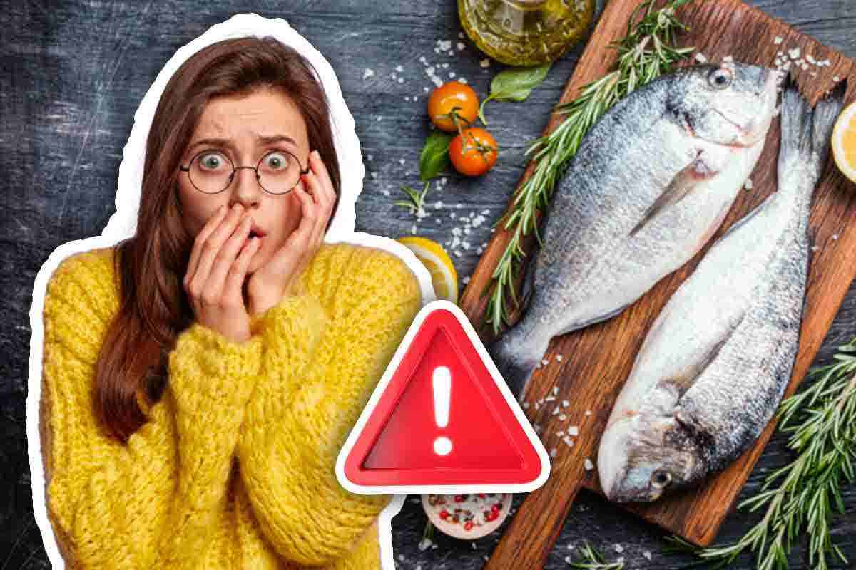Allerta alimentare pesce: cosa devi verificare
