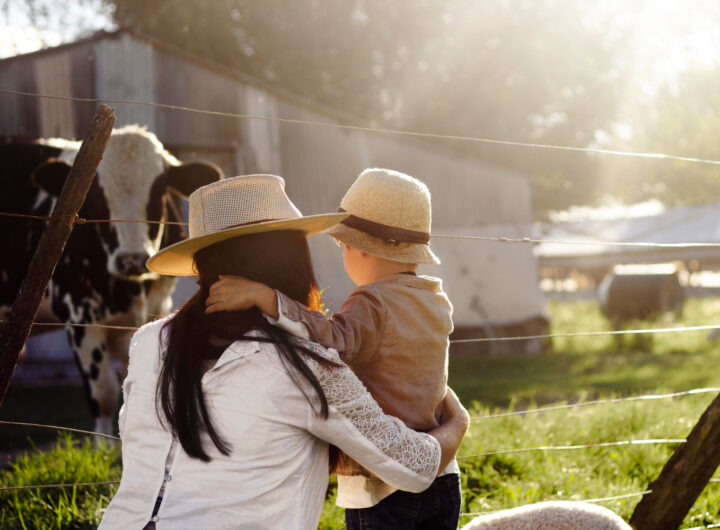 Vacanze in agriturismo